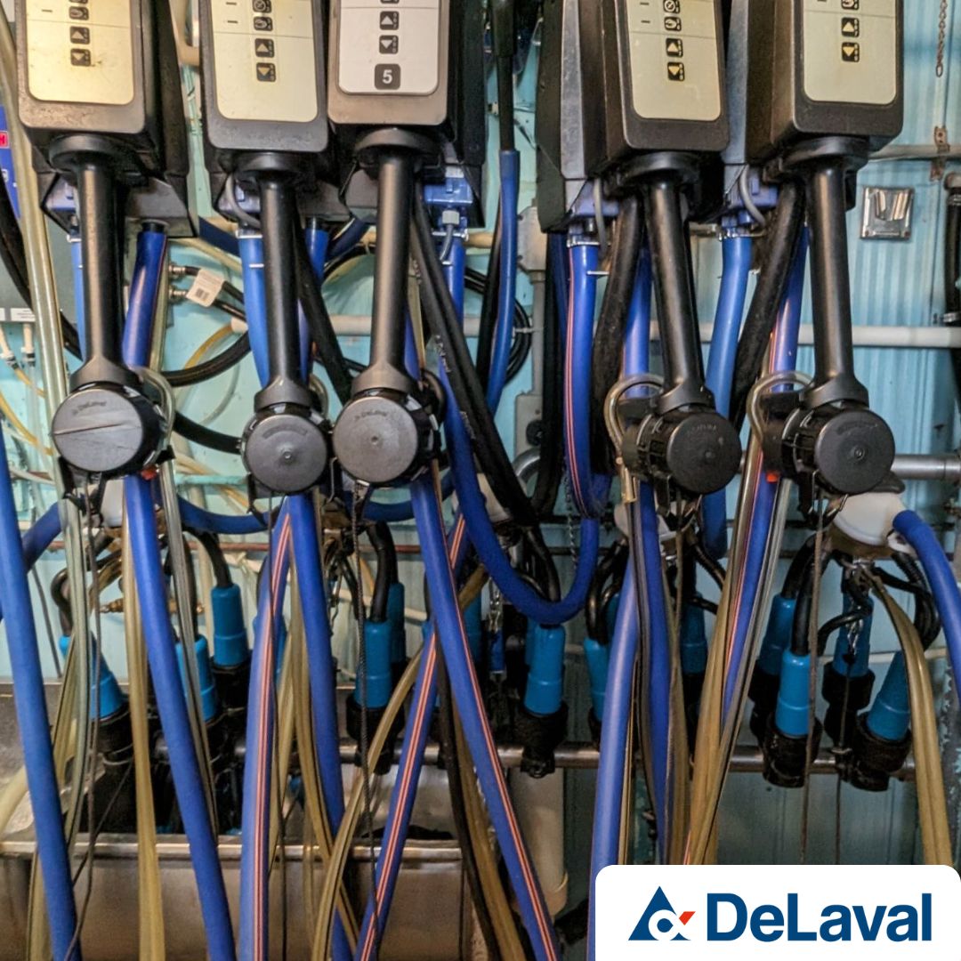 Preventative maintenance programs keep your milking and cooling equipment functioning at optimal levels. Ask us how a maintenance program could benefit your farm.
#scheduledservice #dairyfarming #preventativemaintence #ontag