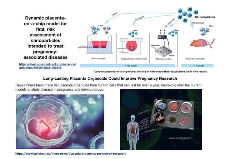 The rise of the NAMS - Placenta #theprocessofanimaltestinghasneverbeenscientificallyvalidated @CBUK10 @CBUK22 @ArtCBUK