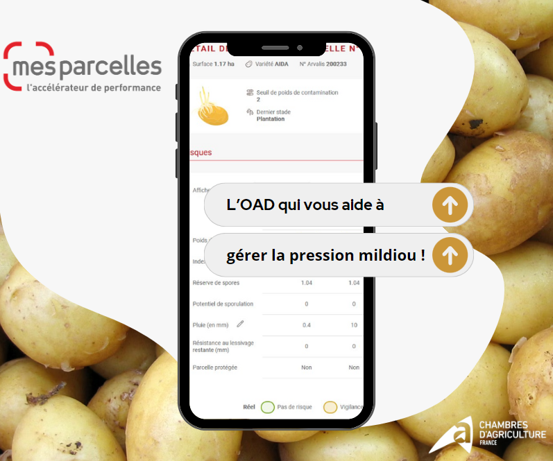 [NEW] #MesParcelles vous donne accès à un nouveau service connecté 👉 #Mileos.

🥔Doublé de l’expertise conseil des Chambres d’agriculture, cette solution vous aide à prendre la bonne décision au bon moment pour gérer la pression #mildiou.

Ça donne la 🥔 non ?
