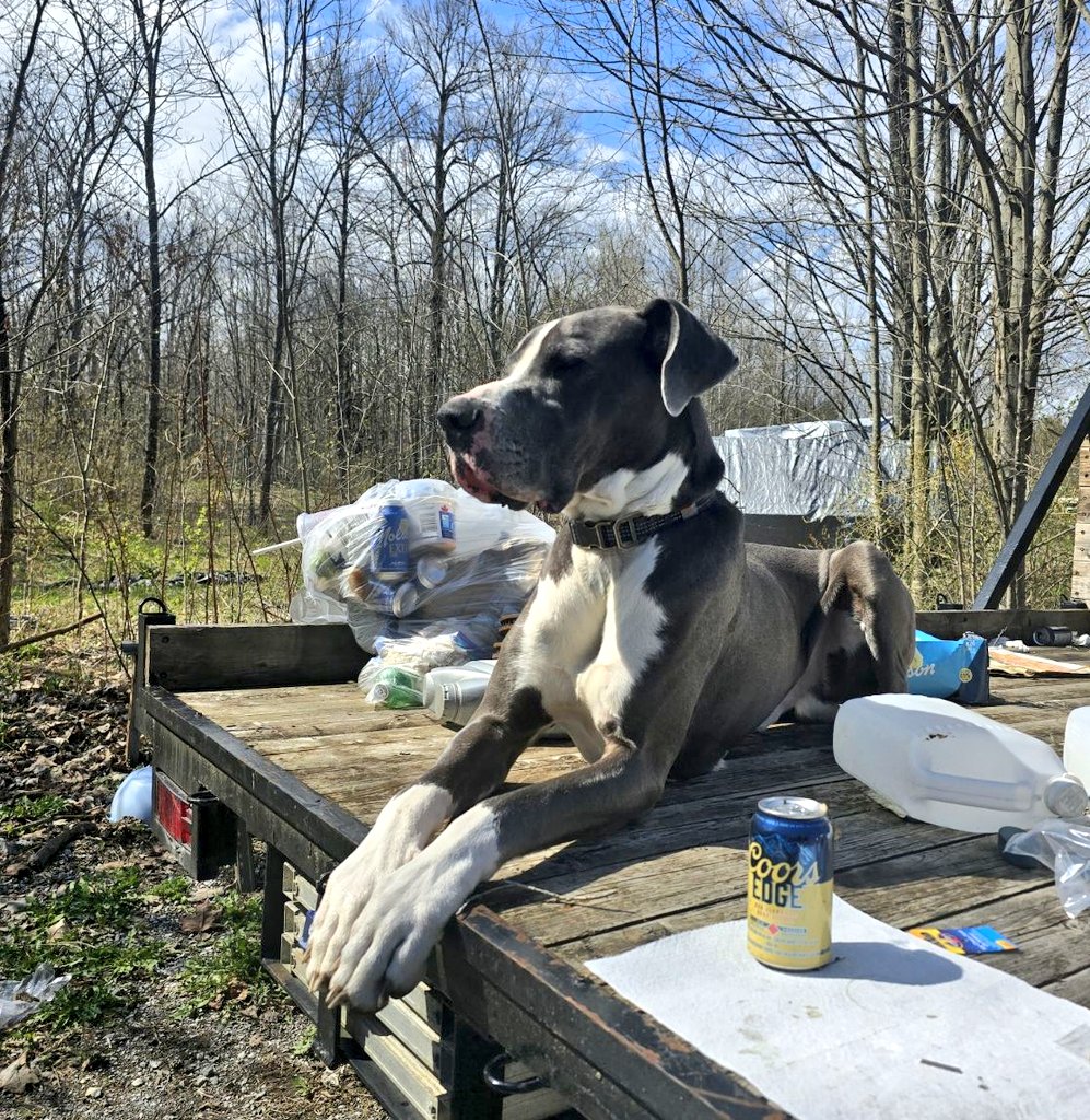 It's fabulous out today and I'm going to help dad clean up the yard and get mom's summer car ready.... hope you day is as bright! #digs #dogsoftwitter #dogsofx #spring #sunny