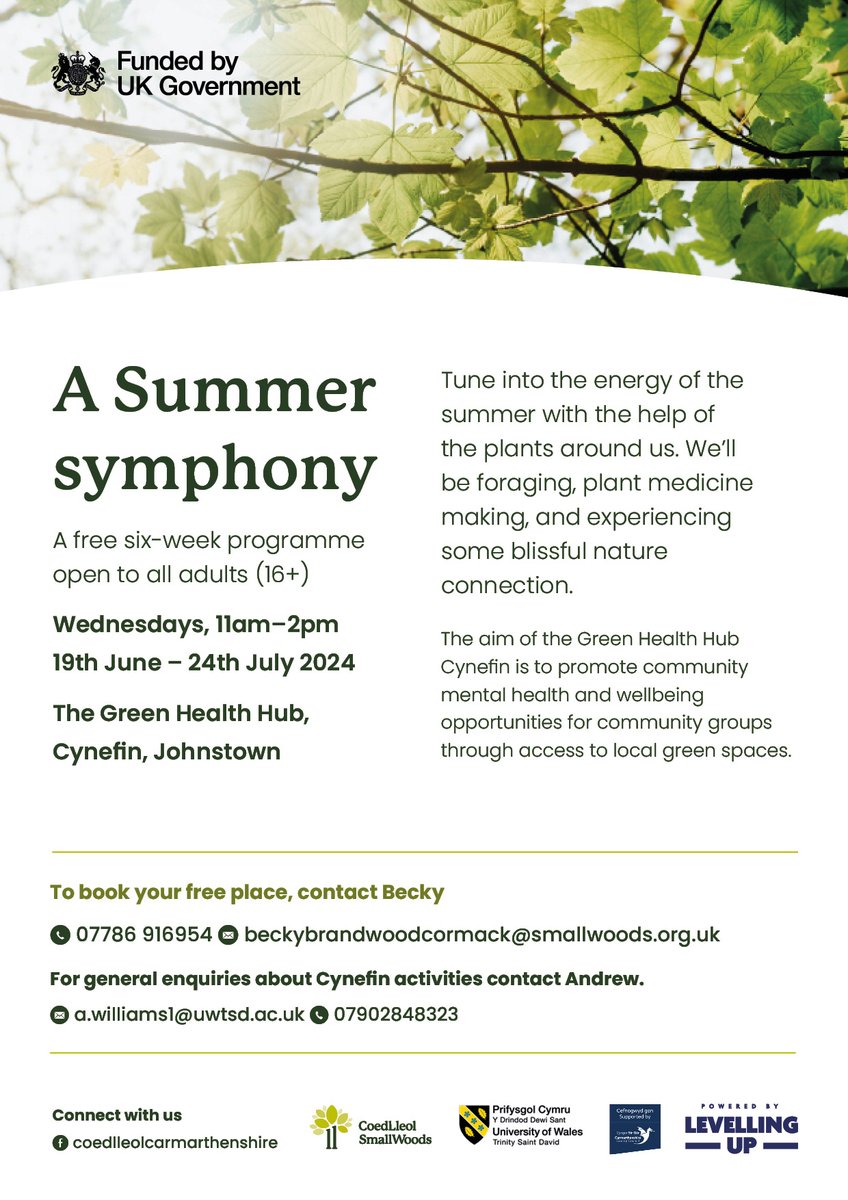 Support your family's wellbeing by spending time at The Green Health Hub with Coed Lleol / Small Woods Wales.🍃 Meet new people, learn new skills, try something new, immerse in nature and take time out for yourself. All are welcome and our events are free!