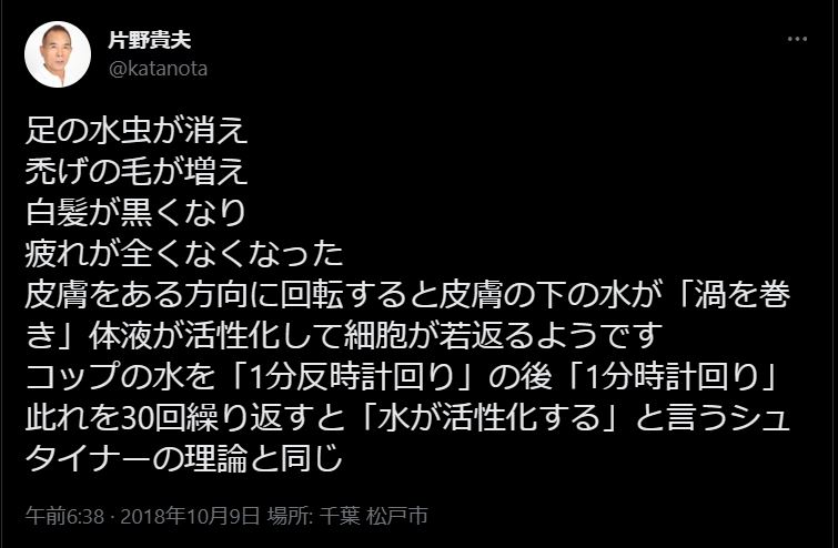 うず気功＝シュタイナーの理論