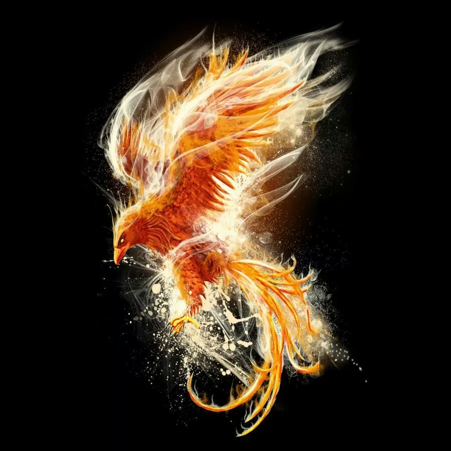 Phoenix; an immortal mythical bird with magical powers that is known for its ability to regenerate itself. It is thought that at the end of the phoenix’s life, it spontaneously bursts into flames, only to be reborn from the ashes as a young phoenix, ready to begin a new life…