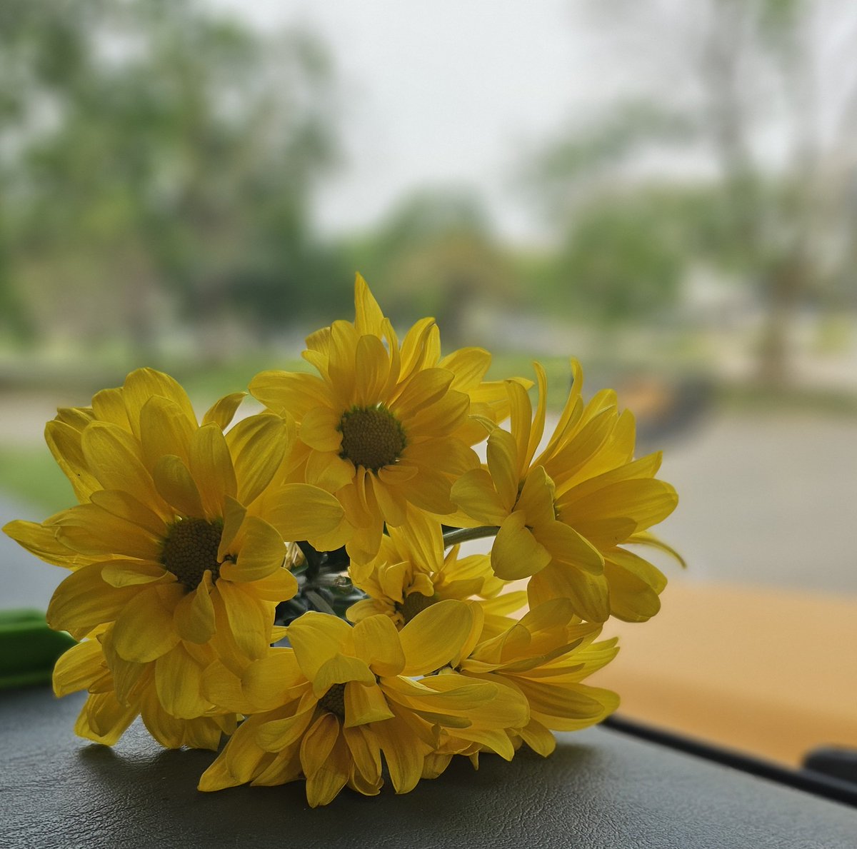 Bus driver appreciation day in @wcsdistrict and @WoParkSharks gave us flowers & cookies #Bus21isFun #ItsWorthIt