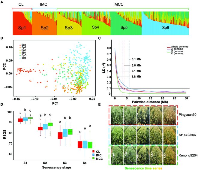 Exploring wheat stay-green trait using spectral indices reveals novel genetic insights. High-confidence QTL and candidate genes identified pave the way for enhanced yield and stress tolerance. #WheatGenetics #StayGreen
Details: spj.science.org/doi/10.34133/p…