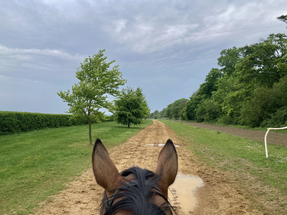 Started off lovely, warm & sunny but it’s clouding over & getting fresher by the end of the morning @NewmarketGallop. Feels like we might have some rain this afternoon #Merrijig