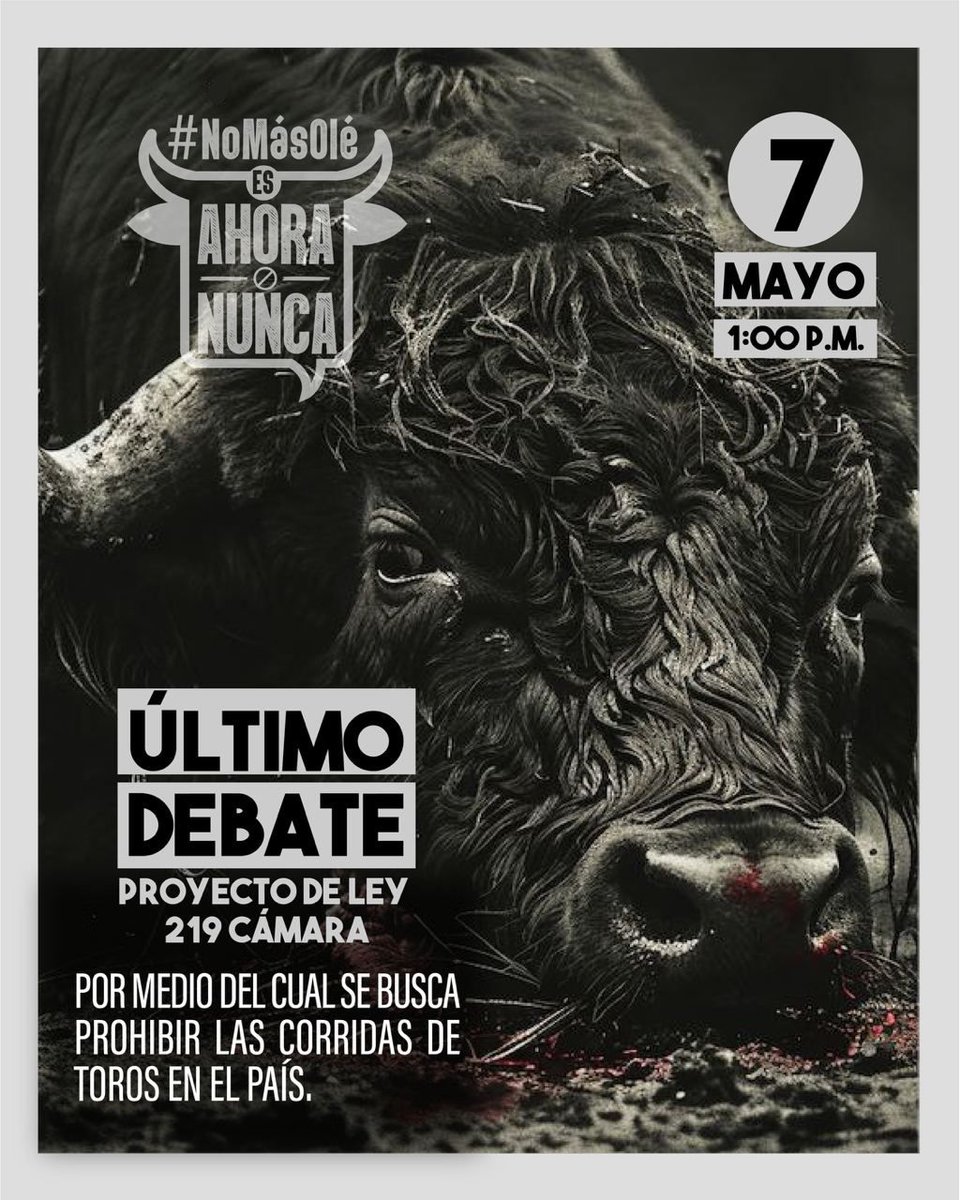 Nunca habíamos estado tan cerca de lograr la prohibición de las corridas de toros en Colombia. Nos queda un debate en Plenaria de @CamaraColombia para que sea Ley. Los actos de tortura, violencia y barbarie contra seres sintientes, jamás podrán llamarse cultura. #NoMásOlé