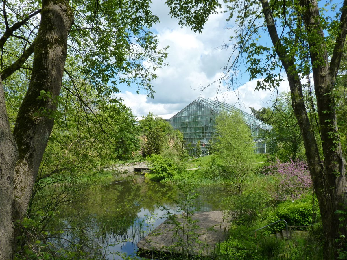 Jetzt kostenlosen Platz für das „Gartengespräch - Wildpflanzenschutz in Deutschland“ am 28.05.24 im Botanischen Garten Osnabrück sichern. Hier bis zum 21.05. anmelden bfn.de/bfn-events/log… #Gartengespräch #Wildpflanzen #Naturschutz #Biodiversität #Pflanzenschutz #Osnabrück