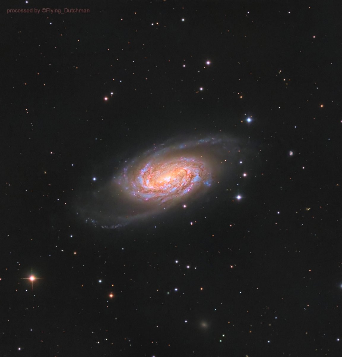 AstroBin's Image of the Day: 'NGC2903' by Xinran Li

astrobin.com/j6dm0h/?utm_so…

#astrophotography #astronomy #astrobin #imageoftheday
