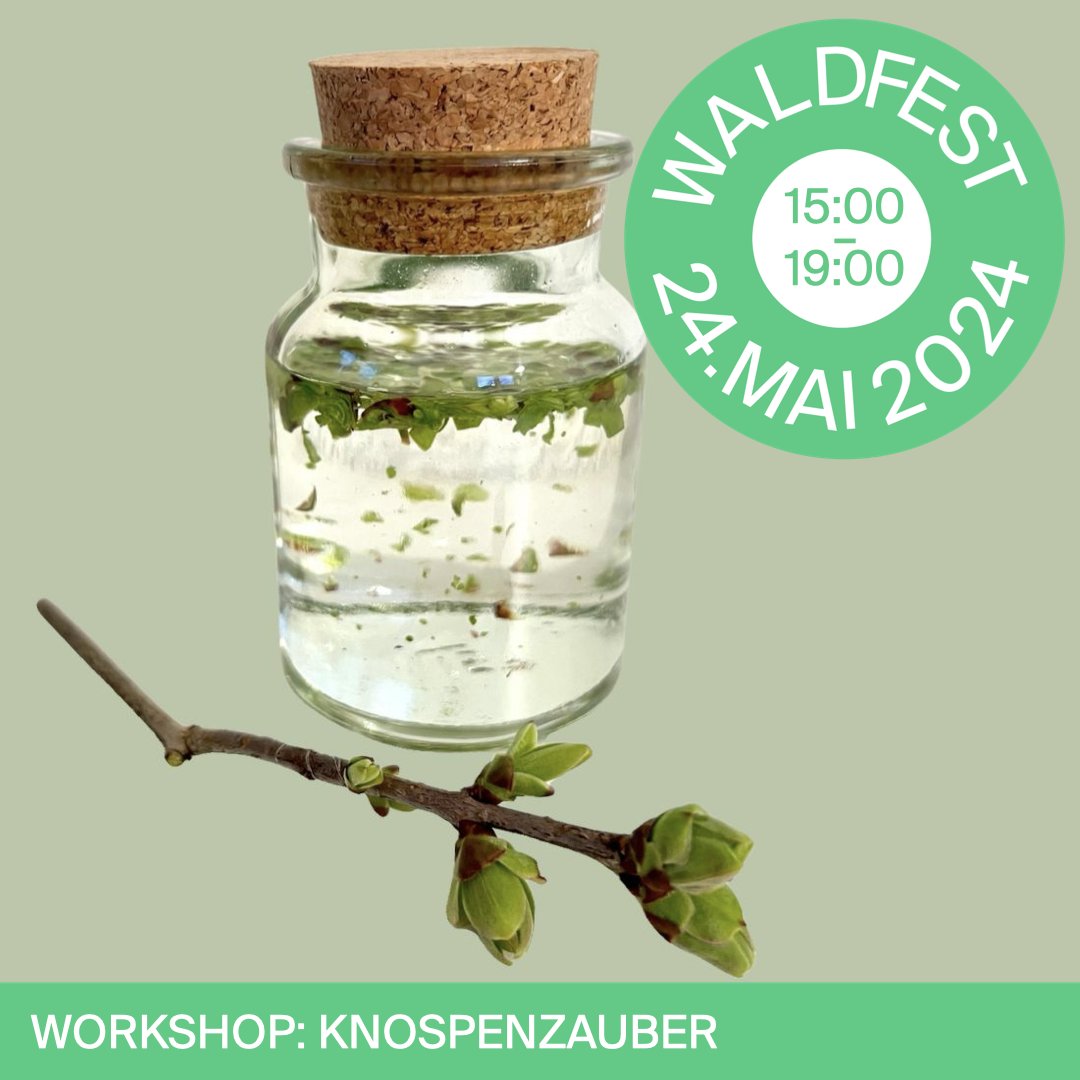 🌺 Workshop: Knospenzauber
Im Workshop von der Drogerie zum Chrüterhüsli AG lernst du den gesundheitlichen Nutzen von Pflanzenknospen kennen, die in einem Alkohol-Glycerin-Gemisch ausgezogen werden. 
ℹ️ Programm: theaterplatz-quartier.ch/#waldfest

#theaterplatzquartier #mobilerwald