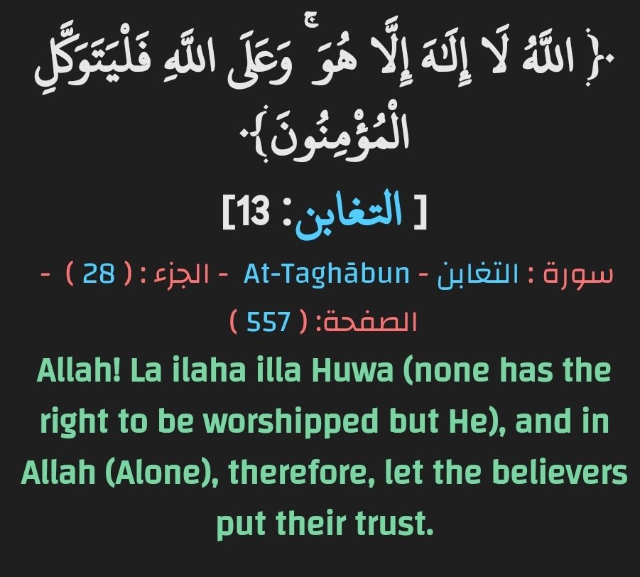 I would urge everyone to stop spreading defeatism because that serves no one but the Zionist entity.

The people of Gaza need neither your despair nor your panic. Instead, they need you focused and helping in whichever way you can.

Trust God and after him trust the Resistance.