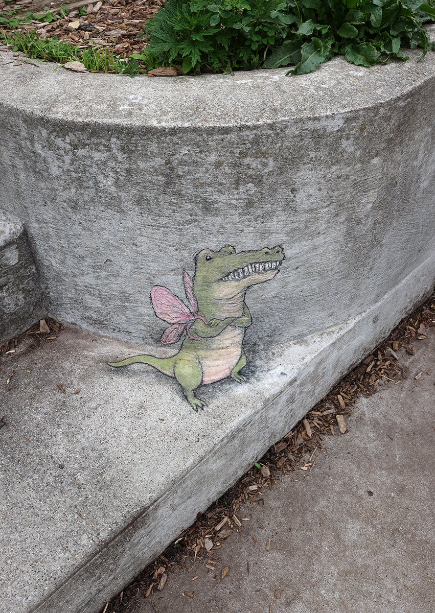 After years of being typecast, Jeremy is finally going to play Tinkerbell. #StreetArt #3DStreetArt #crocodile #PeterPan #confidence #wings
