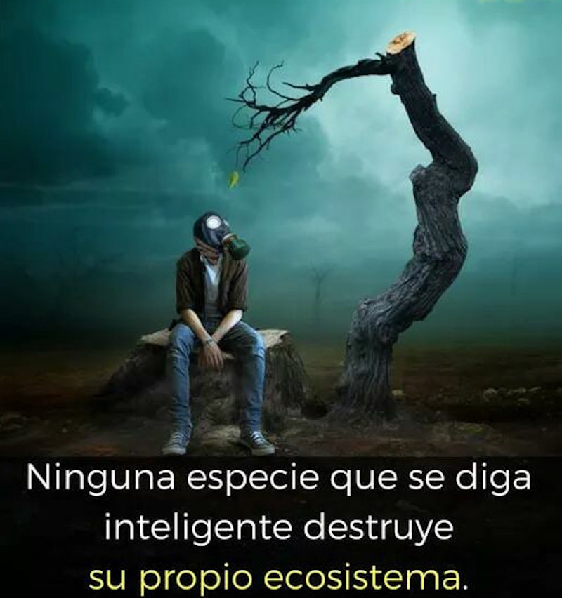 Ninguna especie que se diga inteligente destruye su propio ecosistema.