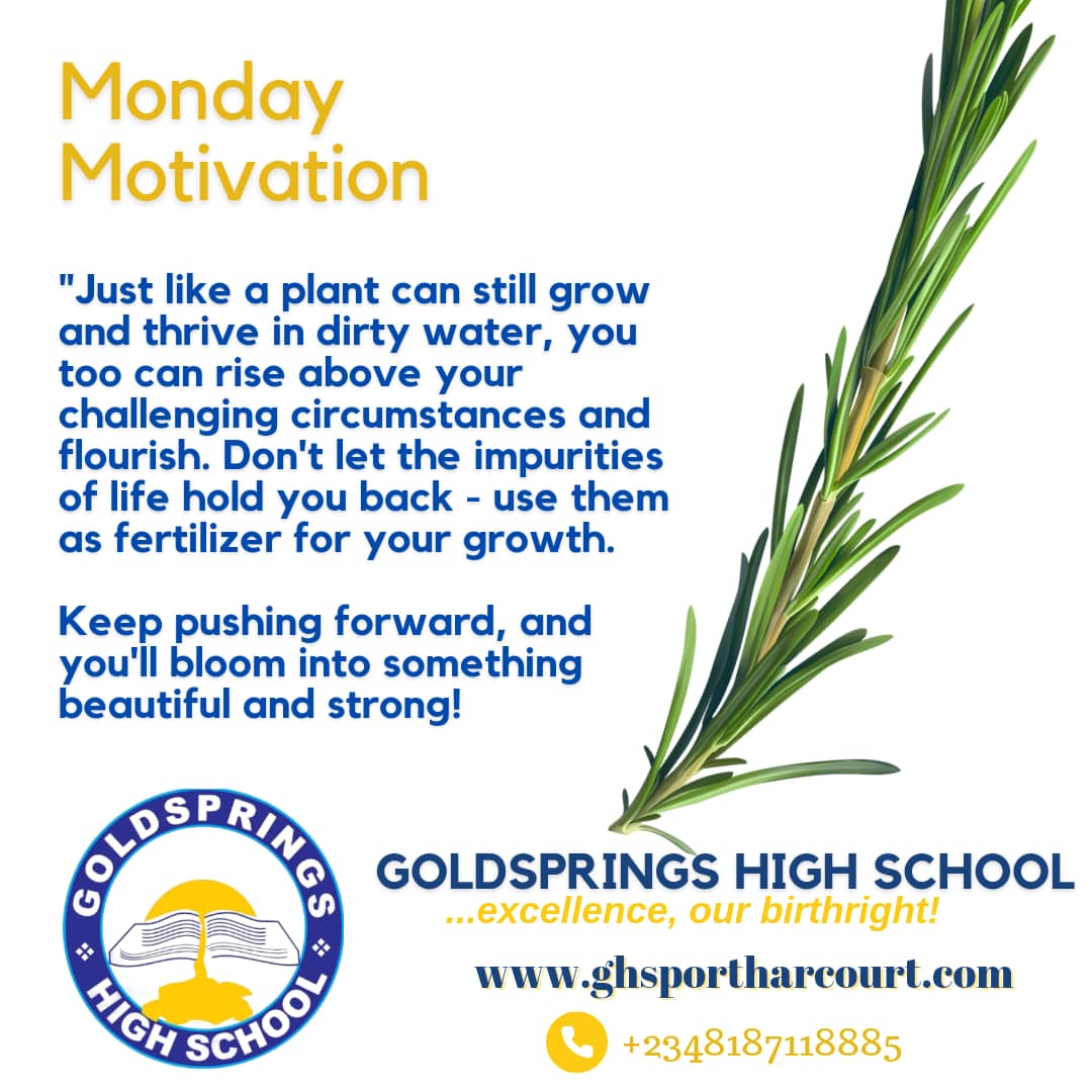 Start your week off right! 💪 

It's a brand new week, full of opportunities to learn, grow, and achieve your goals. 🎉 

Let's make this week count, Tigers! 🐯 Remember, success doesn't happen overnight - it's the result of consistent effort and determination. 🔥

Keep pushing