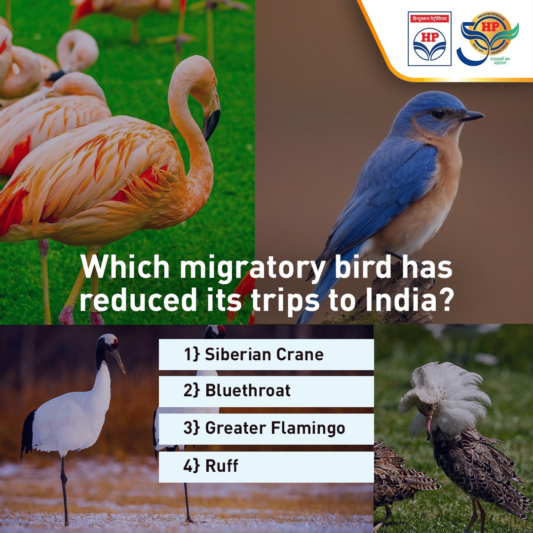 Decrease in the number of Migratory Birds is an alarming sign as it reflects climate change and loss of ecosystems. Mention the name of this once-regular bird which  used to flow thousands of miles to come to India, but is rarely seen now.

#MigratoryBirds #HPTowardsGoldenHorizon…