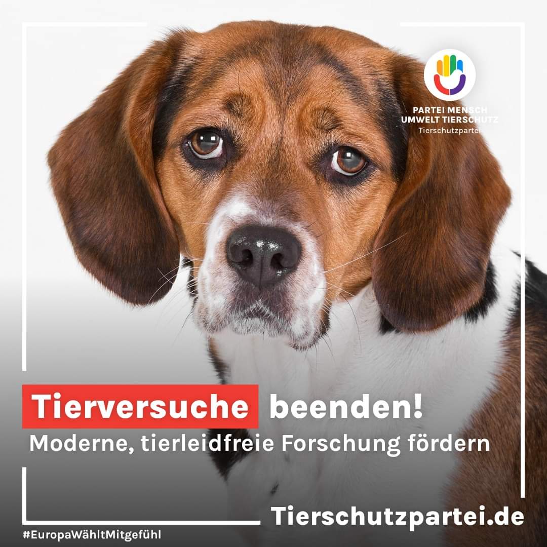 Europa quält jährlich 9 Mio. Tiere in Laboren. Tierversuche sind nicht nur grausam, sondern auch unwissenschaftlich. Wir fordern ein Verbot und setzen auf humane Forschungsmethoden. Deine Stimme am 9. Juni zählt! #Europawahl #MitgefühlWählen #TeamPlanet