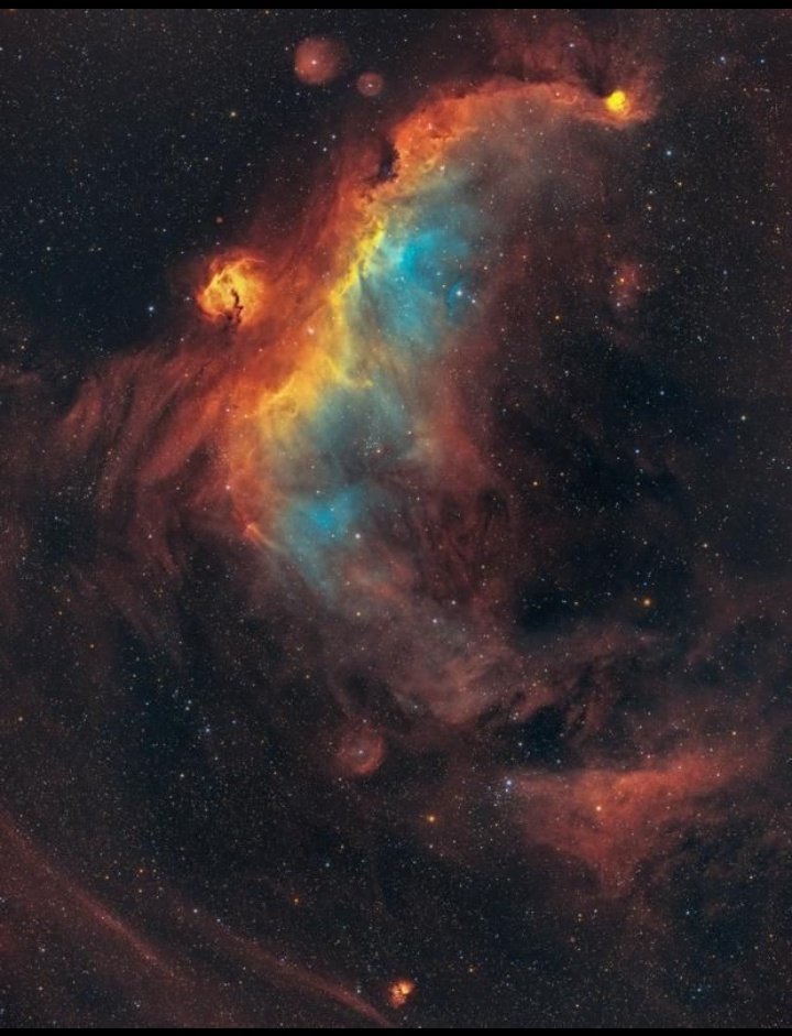 The Seagull Nebula - IC2177 (Deepak Sureshkumar) - AstroBin  astrobin.com/p243d1/