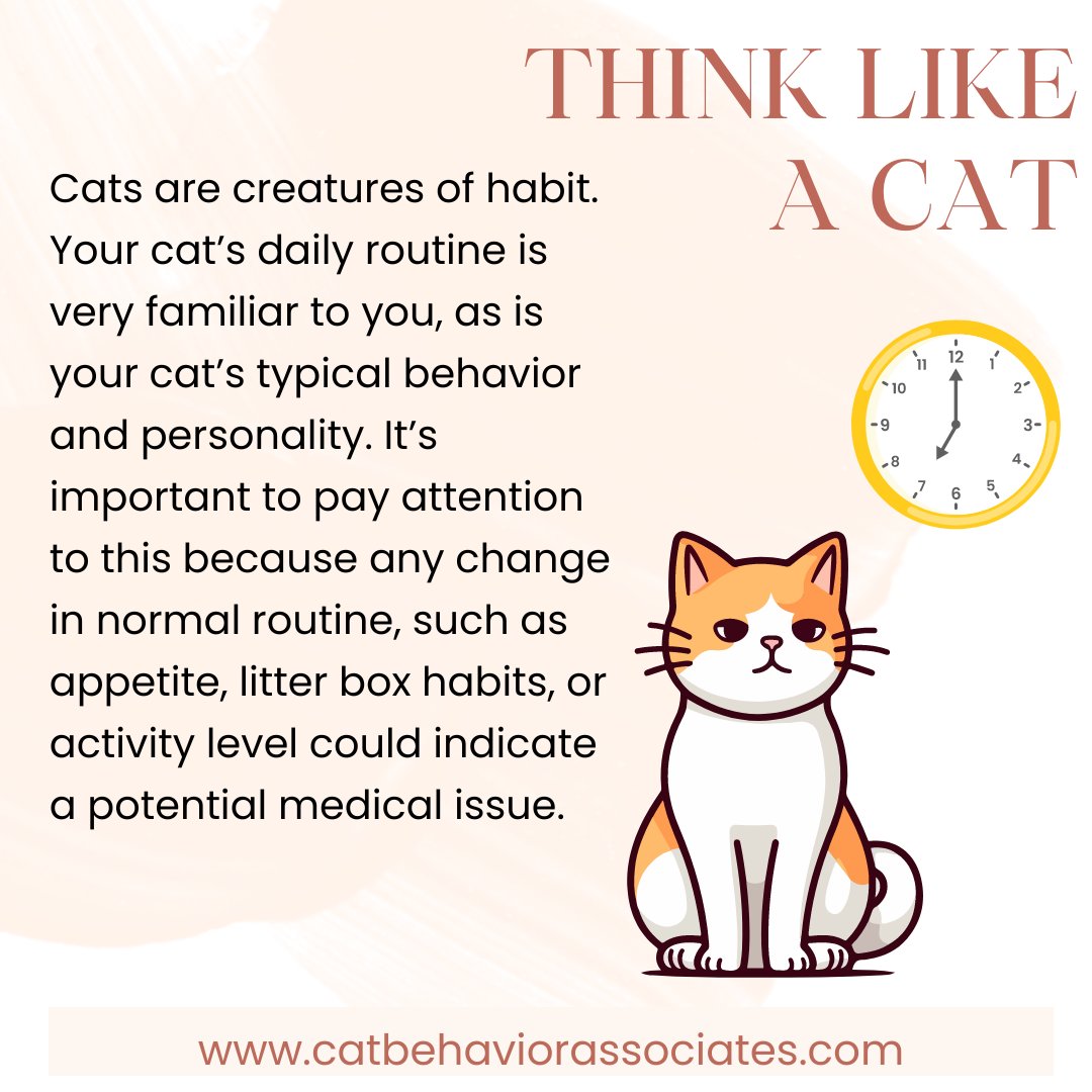 Has there been a time when you were alerted to a potential medical issue because of a change in your cat's routine or typical behavior?

#catbehavior #cathealth #catlovers #thinklikeacat
