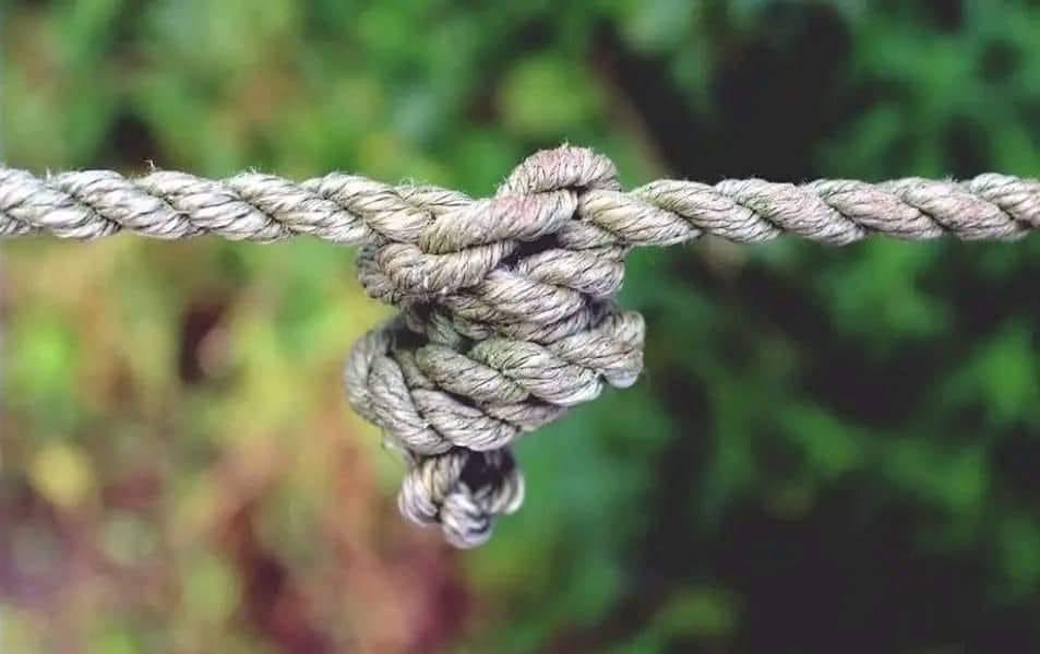 " الخيط الذى يُقطع ويُوصَل مرّاتٍ عدّة، لا يرجع خيطًا، بل يُصبح كتلة من العُقد "