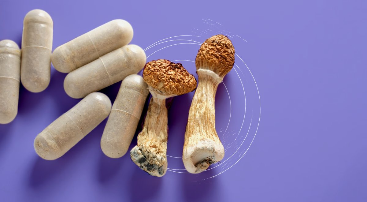 The most underrated health “supplement”:

Mushrooms.

Here are 8 Powerful Mushrooms, their benefits & how to use them:

(Bookmark This)