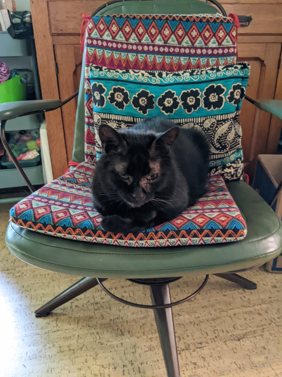 Loafing perfection! 🍞
#kittyloafmonday #CatsOfTwitter #CatsOnTwitter #CatTwitter #blackcats #panfursquad #moggies #catpics #minipanfur #RescueCats #voidcats #CatsOfX #CatsOnX #cats #MondayMorning