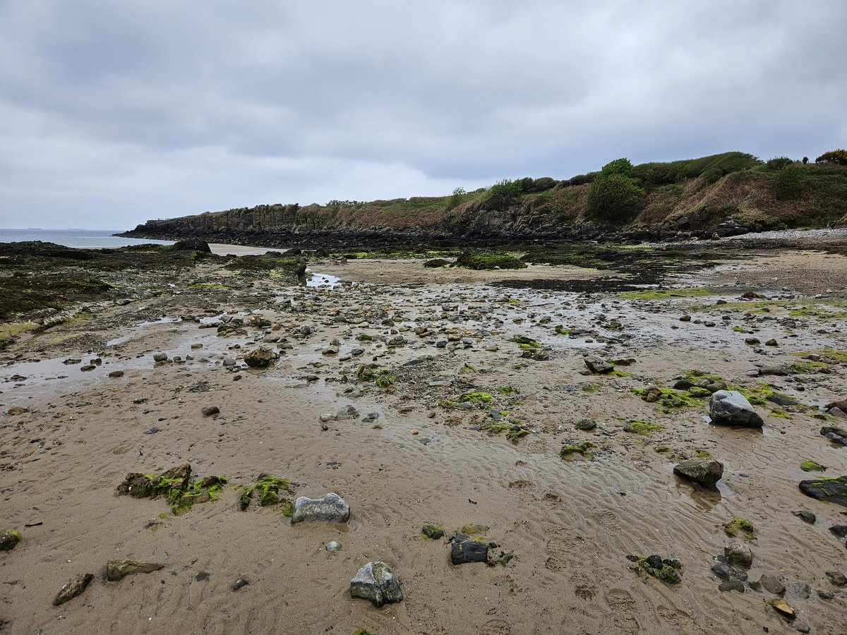 LisaMottram's tweet image. Today's @RNLI #MayDayMile is at Lligwy Beach.
fundraise.rnli.org/s/8132/8387/e
