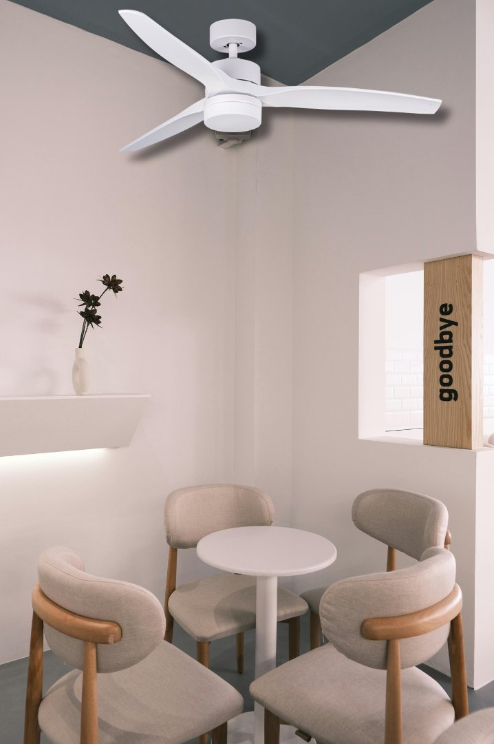 🌟 Refresca tus ventas este verano con nuestros ventiladores de techo de primera calidad. 🌟 ¡Conviértete en nuestro distribuidor al por mayor y ofrece a tus clientes la solución perfecta para mantenerse frescos y cómodos! #VentiladoresDeTecho #Mayorista #VeranoRefrescante