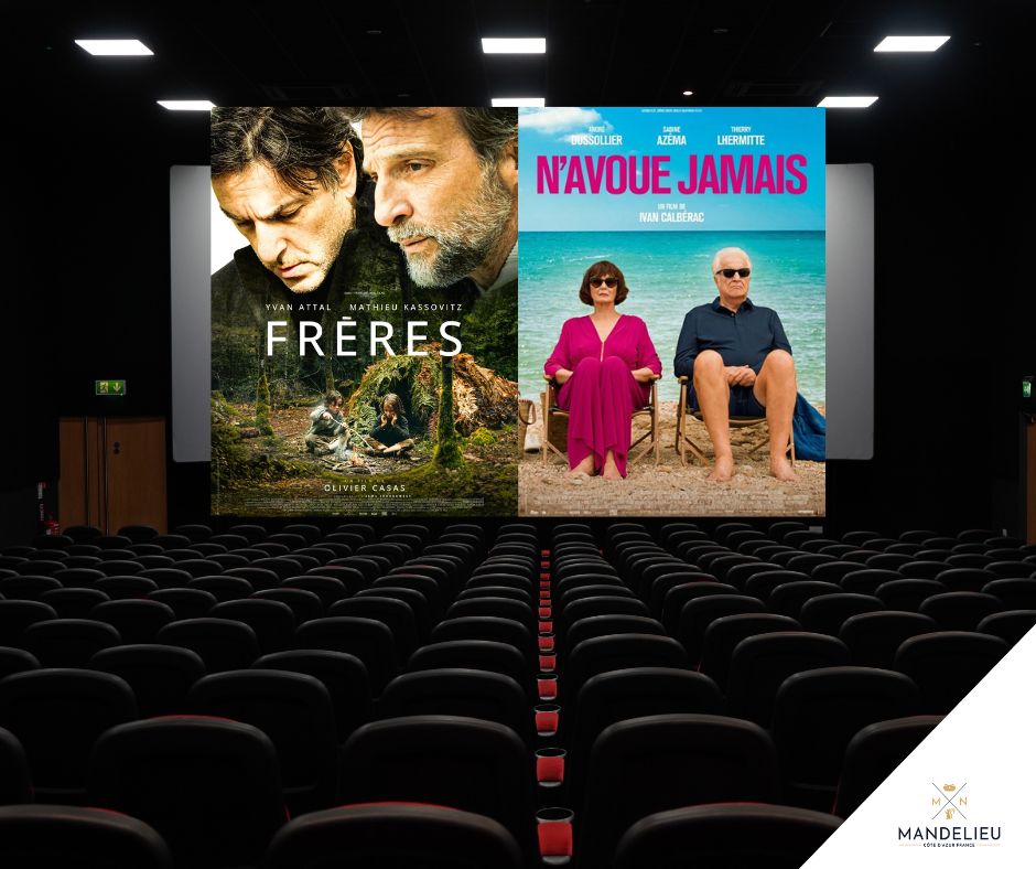 🎬 Programme Cinéma Espace Léonard de Vinci - 809 Bd des Ecureuils. 📅 Lundi 13 mai 2024 14h30 : Frères 17h : N'avoue jamais ➡️ Plus d'infos sur bit.ly/MLN_Cinema