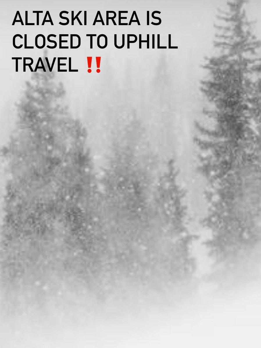Alta Alerts tweet media