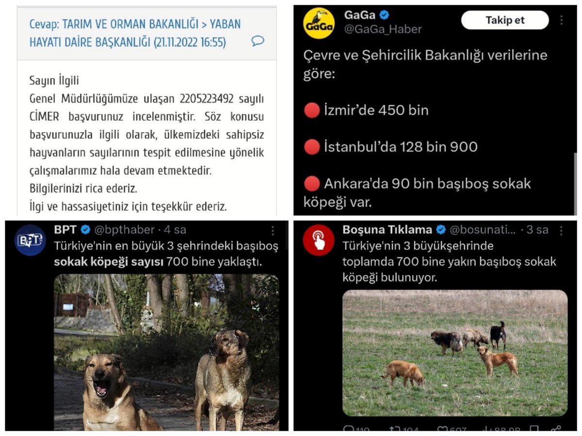 Parayı veren haber yaptırıyor. Paylaştığım Milliyet gazetesinin 2022 tarihli haberinde aynı rakamlar veriliyor. Oysa 2022 sonunda Bakanlığın verdiği cevap : Tespit çalışmalarının devam ettiği yönündeydi. Söz konusu veriler hem eski hemde resmi değil. milliyet.com.tr/gundem/sokak-k……