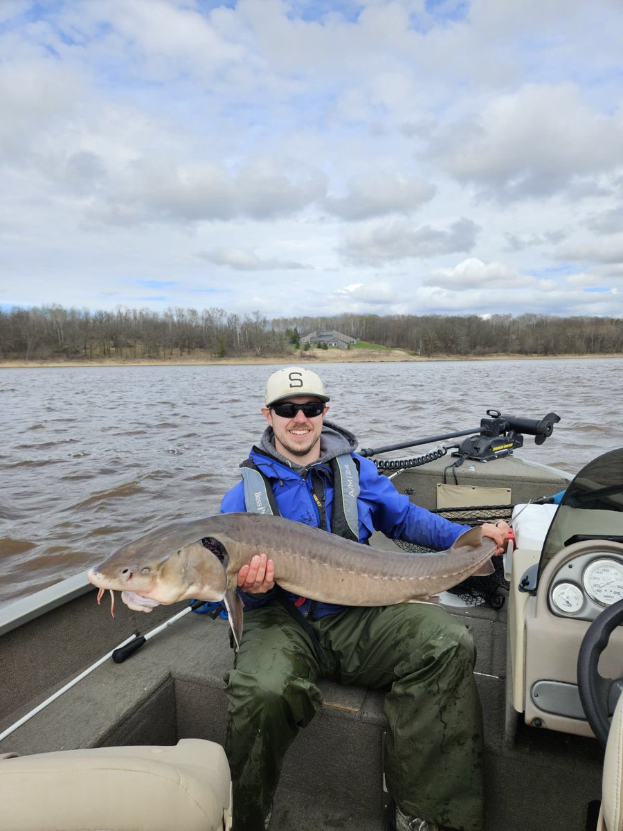 Excellent advice from @AmFisheriesSoc president to “Make time to go fishing and take along a buddy.” Thankful to have a mentor and collaborator that doubles as a fishing buddy, and for the opportunity to catch a couple of these incredible fish. #sturgeon #rainyriver #TeamFish