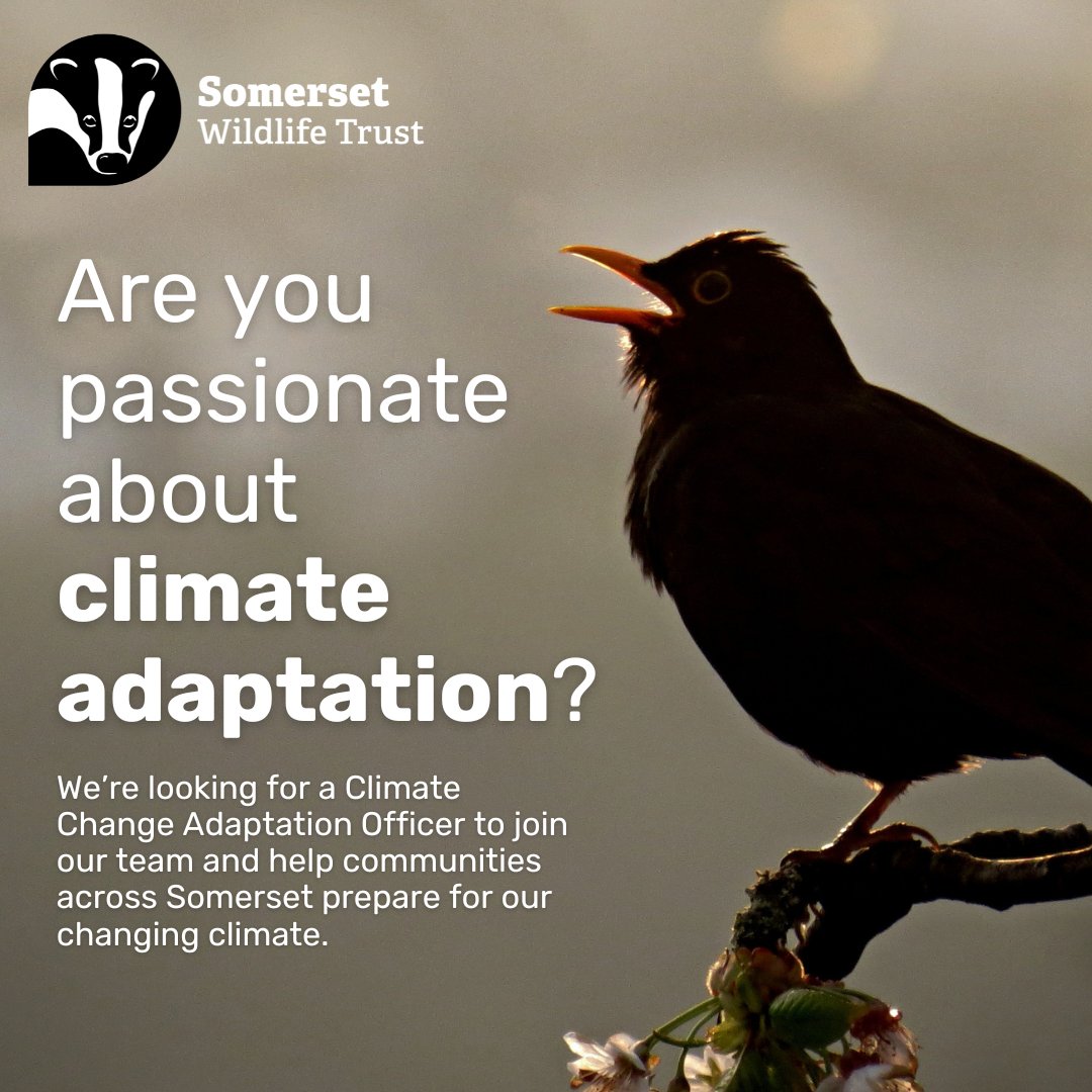 Somerset Wildlife Trust (@somersetwt) on Twitter photo We're looking for a Climate Change Adaptation Officer to join our team! š
This role will provide leadership around our adaptation work, which includes helping Somerset communities prepare for our changing climate. š
somersetwildlife.org/jobs/climate-cā¦
#Somerset #Climate @SomersetJob We're looking for a Climate Change Adaptation Officer to join our team! š
This role will provide leadership around our adaptation work, which includes helping Somerset communities prepare for our changing climate. š
somersetwildlife.org/jobs/climate-cā¦
#Somerset #Climate @SomersetJob