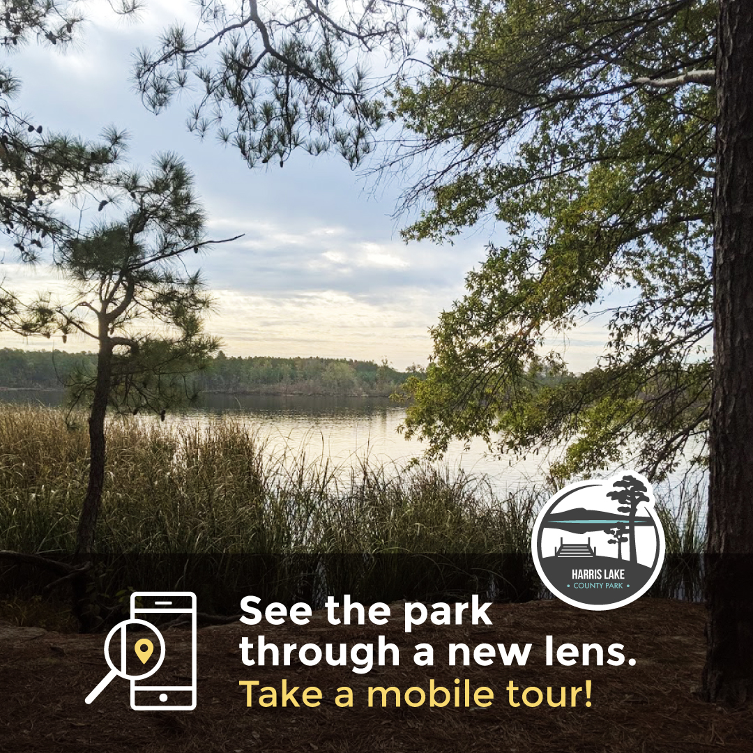 It's #MobileTourMonday! Did you know that many @WakeGovParks have mobile tours you can enjoy while in the park or while at home? Today we are featuring #HarrisLake's Red Fox Run tour, check it out at: ow.ly/VAbQ50QgNw6