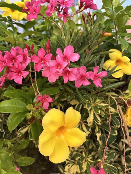 Happy Monday 🫶🏼 this week is already off to a good start https://t.co/s5mBOu0Vvp