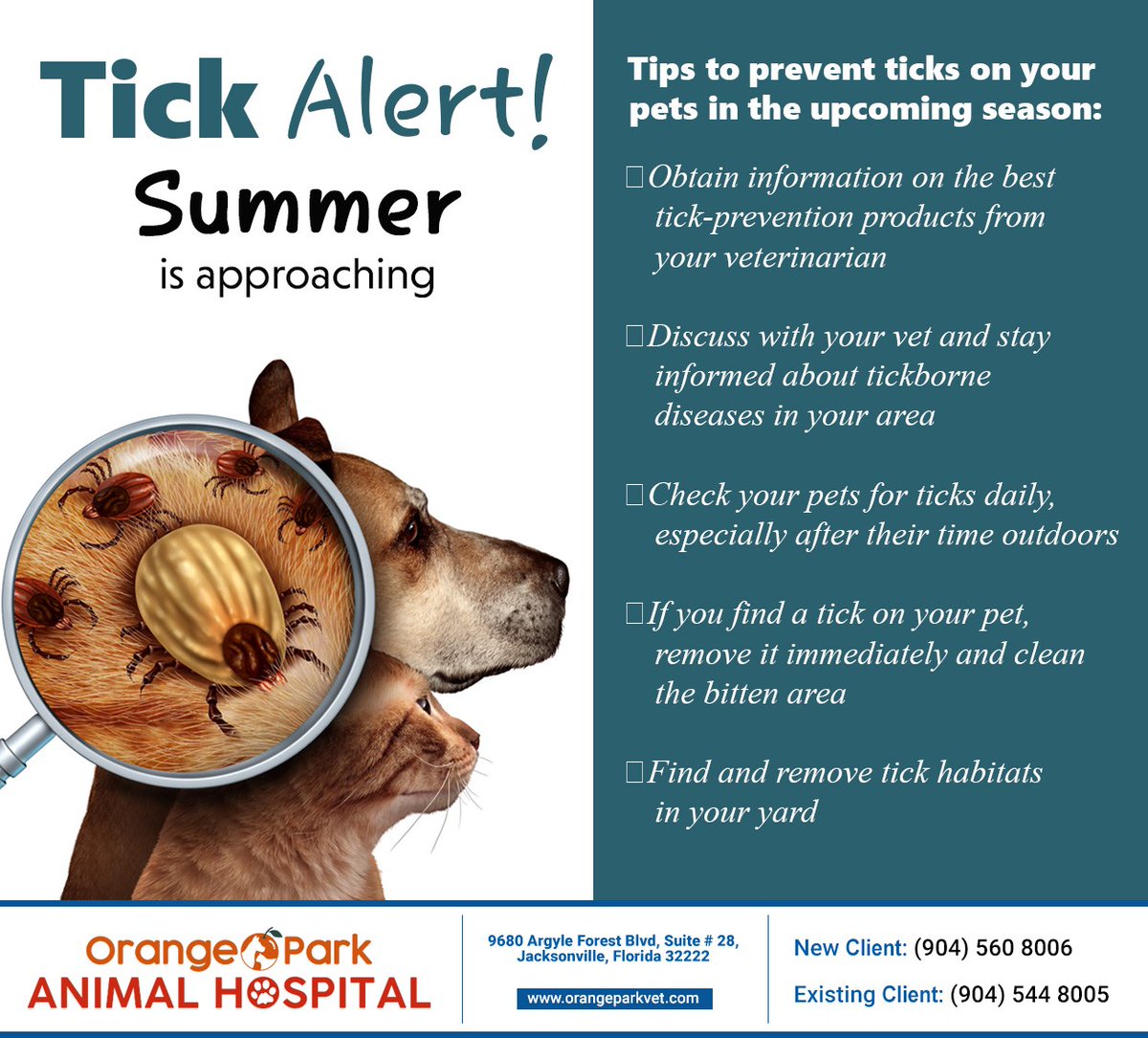OrangeParkVet's tweet image. As tick activities are expected to increase during the upcoming season, you should take precautions and learn your treatment options for tick-related diseases. Orange Park Animal Hospital can guide you. #tickalert #orangeparkanimalhospital #jacksonville #FL