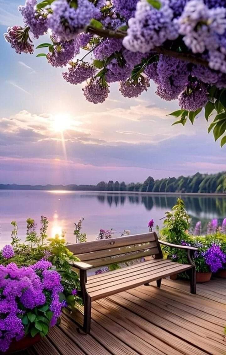 Ale00526098's tweet photo. Good morning friends, have a wonderful week.💜💜🍃🍃 https://t.co/XrnABFwU1l