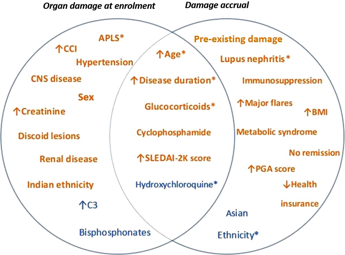 Rheum Research in Brief Predictors of Organ Damage in Systemic Lupus Erythematosus in the Asia Pacific Region In AC&R loom.ly/Z5pX5iU Figure: Factors associated with organ damage in multivariable analyses.
