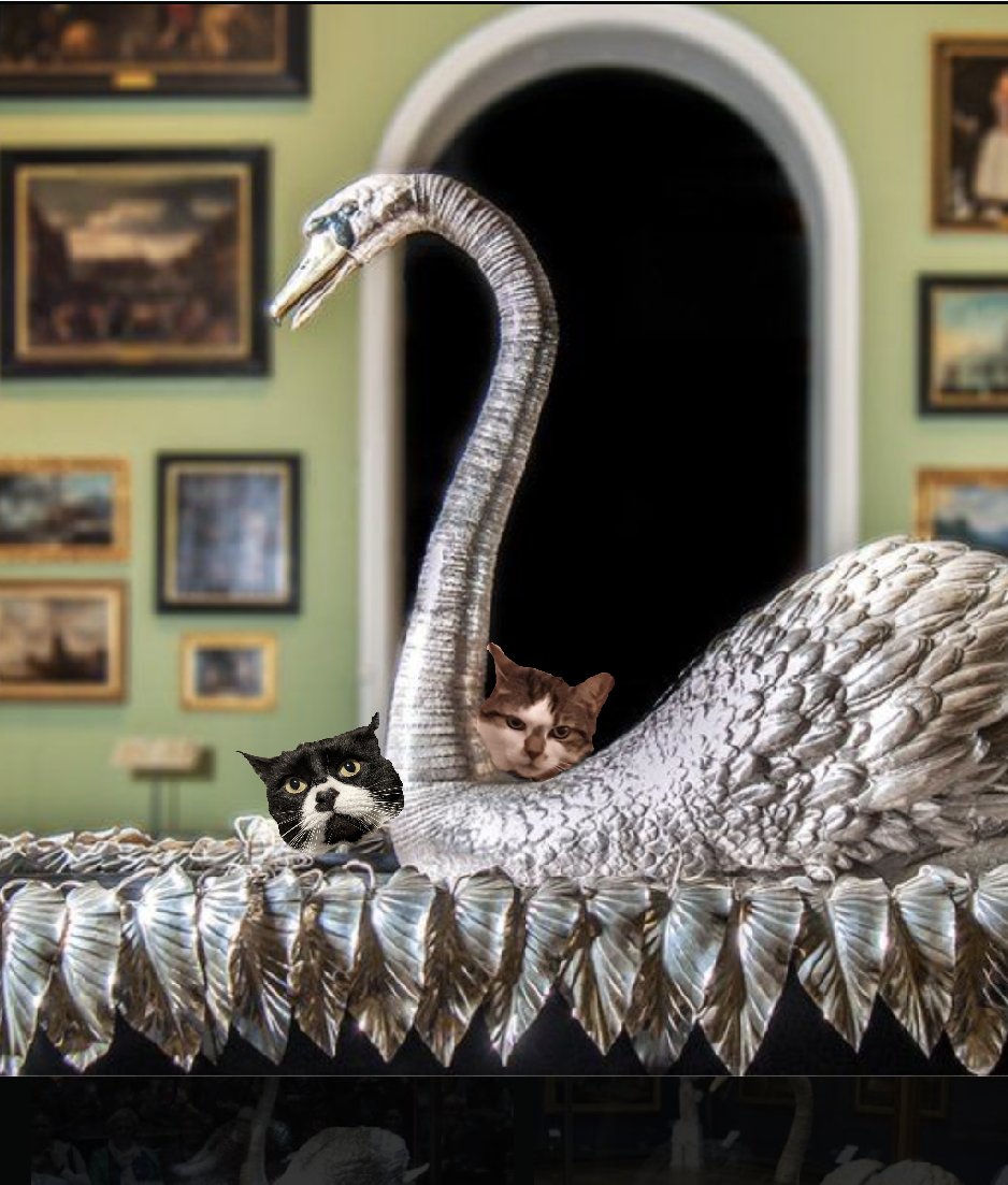 #Hedgewatch @JudithandTinks Last exhibit is the silver swan. So shiny shiny! Glad we don't have to clean it 😹😹😹 *Takes Tinks paws and twirls her off to the bikes* Heading back for snuggles & cakes with Grandad now & a play in the garden before my Blankie launch 🐾💜🤘
