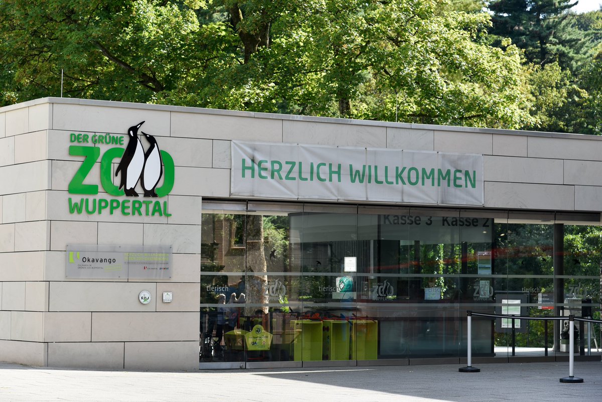 Morgen Abend, 7. Mai, 18 Uhr, steht wieder ein spannendes #Zoogespräch auf dem Programm! Prof. Dr. Dr. Kristian Köchy von der @uni_kassel referiert zum Thema 'Schimpansen auf Umwegen'. Wie immer: öffentlich und kostenfrei im @zoo_wuppertal.➡️ wuppertal.de/microsite/zoo/… #Wuppertal