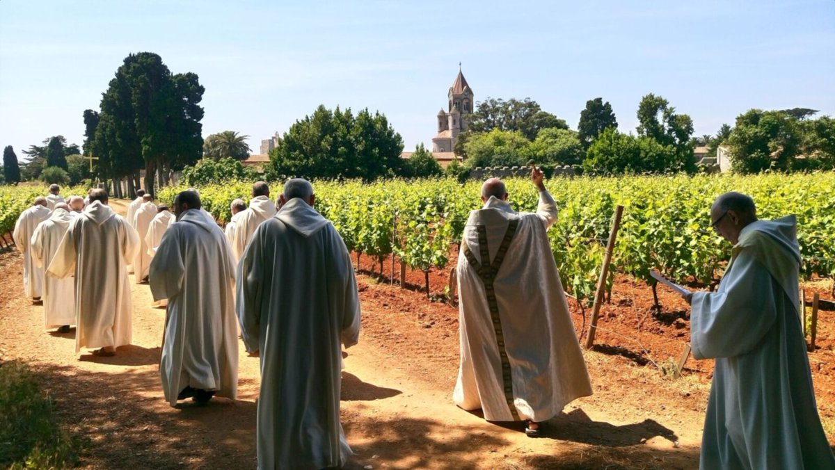 ✨ Veuillez noter que demain, mardi, la messe sera célébrée à 11h00 et sera suivie de la procession des rogations pendant laquelle nous demandons à Dieu de bénir nos cultures.

#OraEtLabora #cultures #StHonorat #vigne #oliviers #rogations