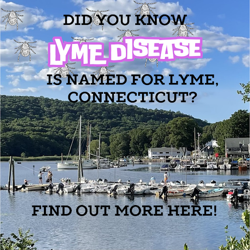❓ Did you know Lyme disease is named for Lyme, Connecticut? Learn about the history of Lyme disease 👉 #YaleTickMonth portal.ct.gov/dph/epidemiolo…