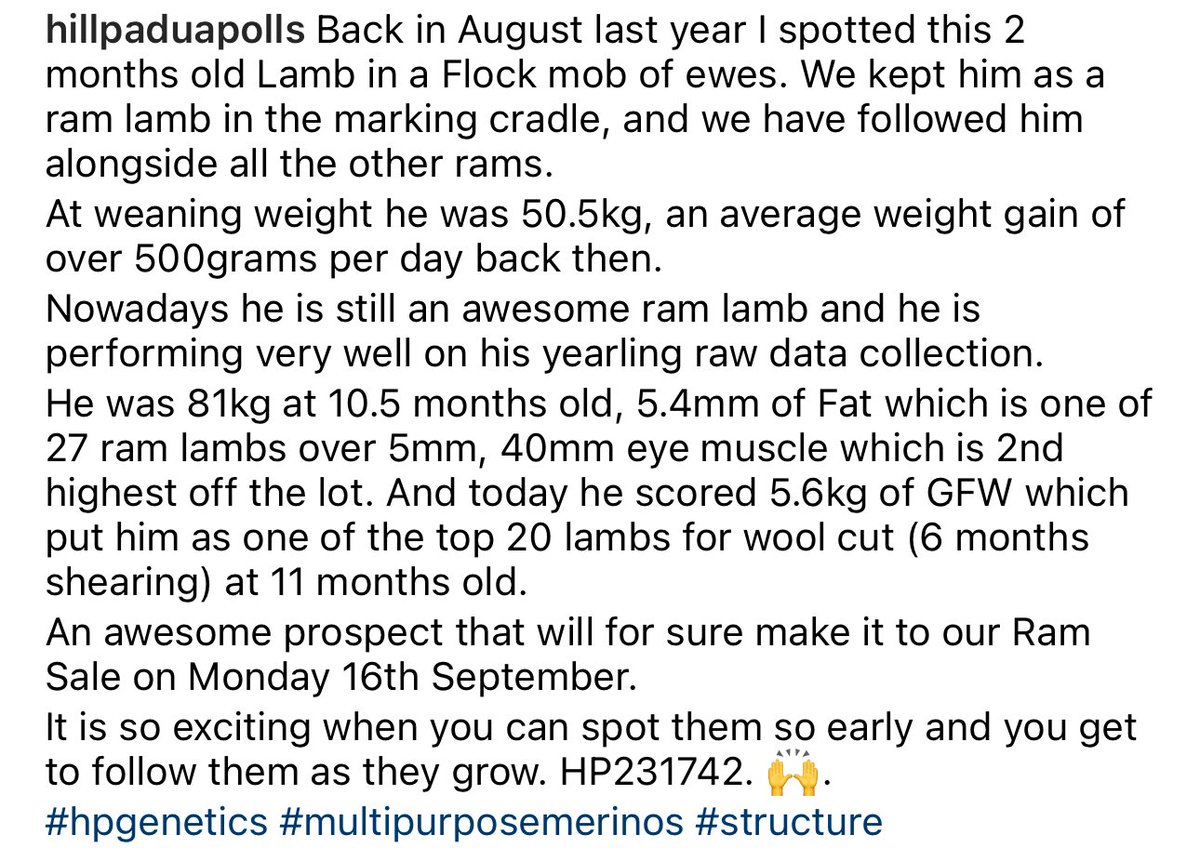 hill_padua's tweet photo. HP231742
An awesome prospect that we spotted very early. Just amazing to watch him grow. https://t.co/6CGXpMo5xF