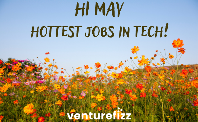 The flowers 🌸 are blooming, the sun ☀️ is out, and the jobs are HOT 🔥! Featuring dozens of hand-picked jobs from amazing companies in the tech sector! venturefizz.com/hottest-jobs-i…