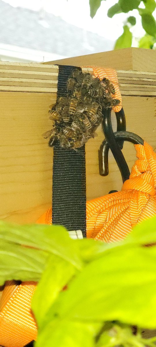 The Silver Fox Intern tweet media