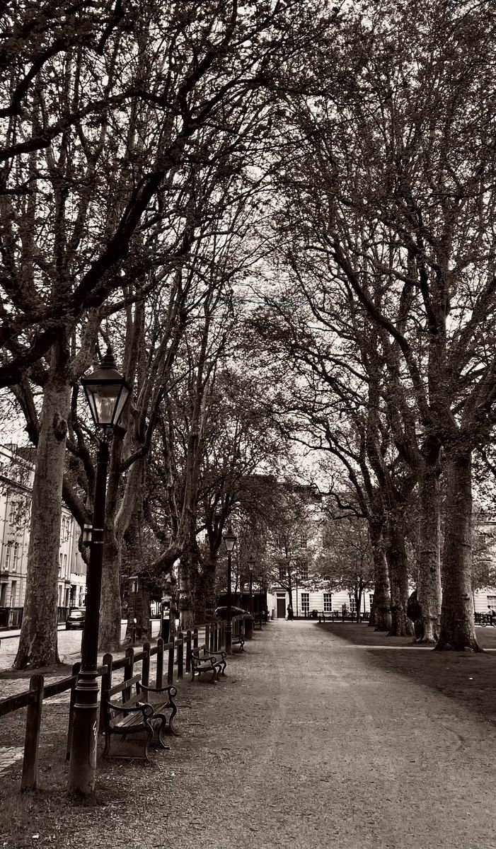 Queen Square #bristol #trees #park #blackandwhitephotography #thephotohour #landscapephotography #walkinbristol #picoftheday #photooftheday