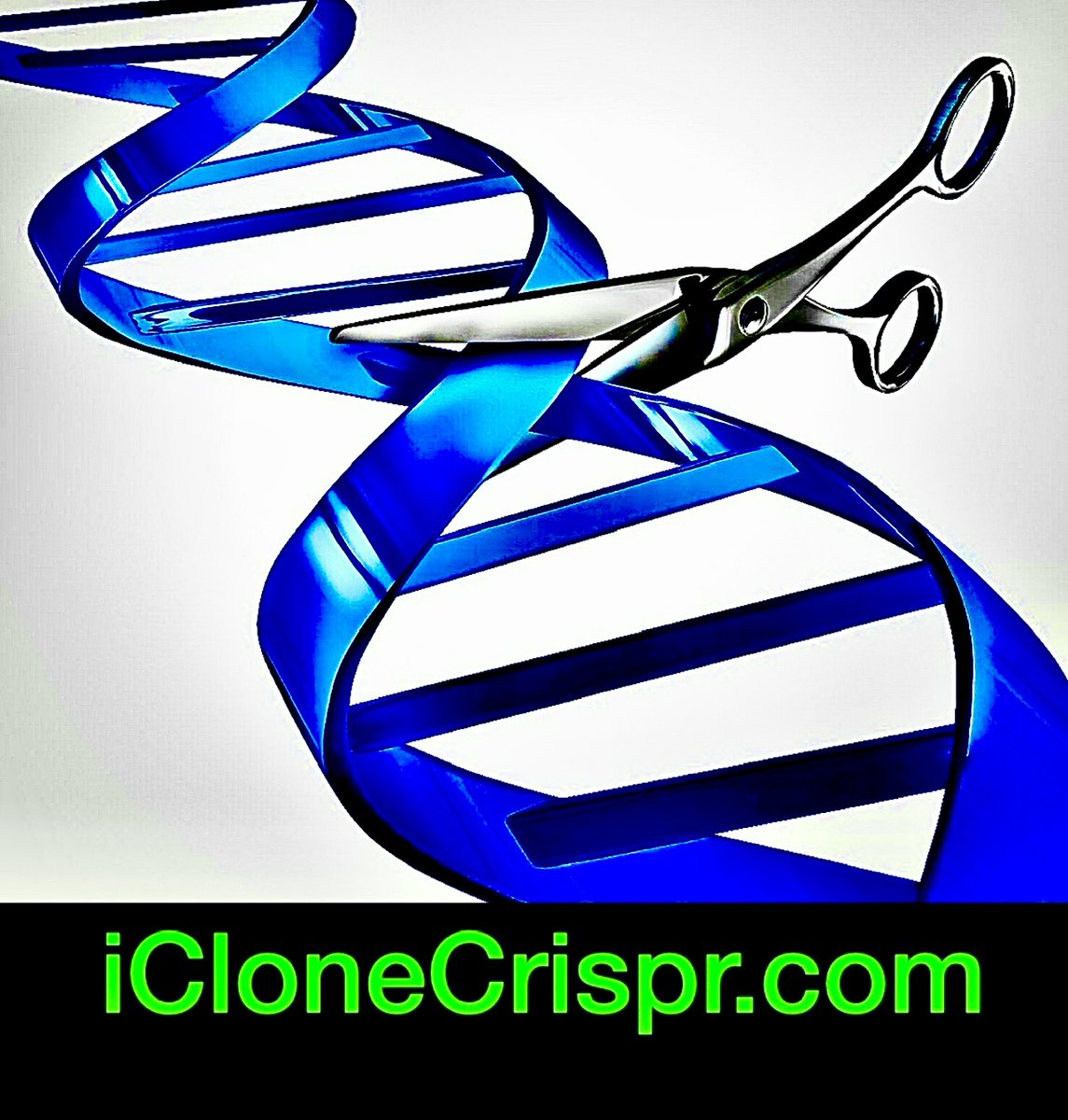 #Biotechnology #dna #artificalintelligence #chatgpt #ELON #elonmusk #genetics #medical #clones #humans #cloning #futurehumans #humanity #fertility #aging #biotech #geneticengineering #embryos #medicalstudents #life #crispr #crisprcas9 #stemcells #TechInnovation #synthetichumans