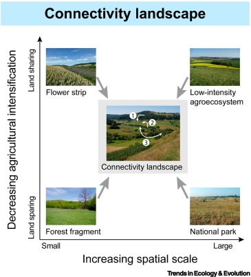Online now: Mixing on- and off-field measures for biodiversity conservation dlvr.it/T6VQpn