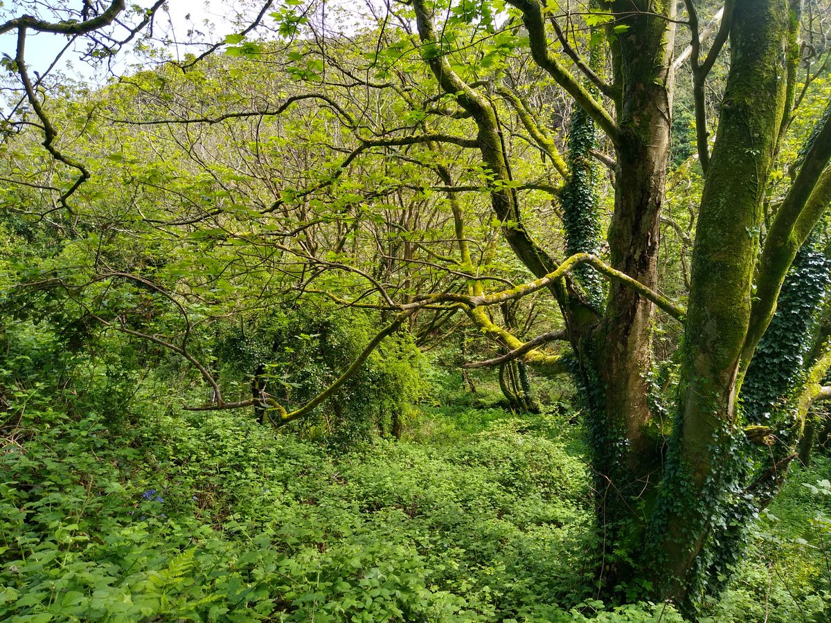 Tim Birch tweet media