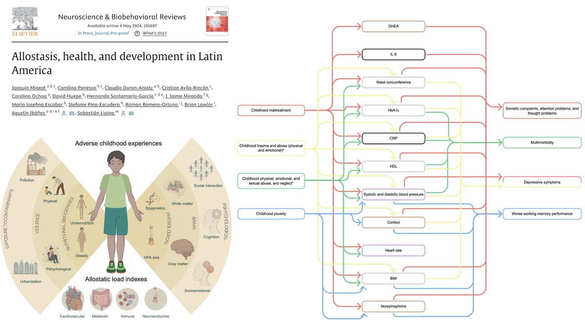 In Latin America, lifespan is influenced by adverse multimodal childhood experiences involving social and physical exposome, inequalities, violence, and nutritional deficiencies. In our study (doi.org/10.1016/j.neub…), we propose an allostatic framework to understand the…