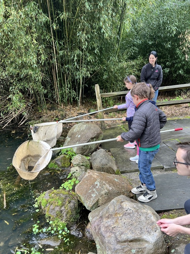 KRO visits the JA McFaul Environmental Center : enjoying Water World